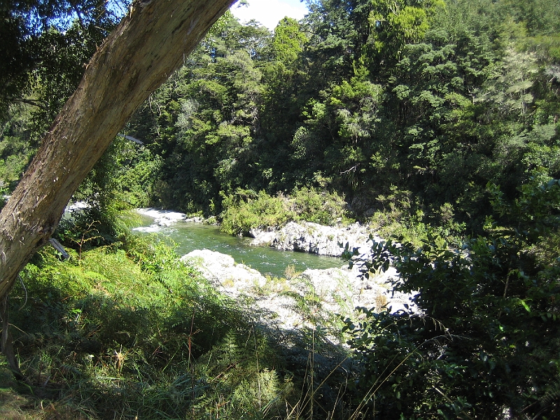 IMG_2008.JPG - Pelorus Bridge