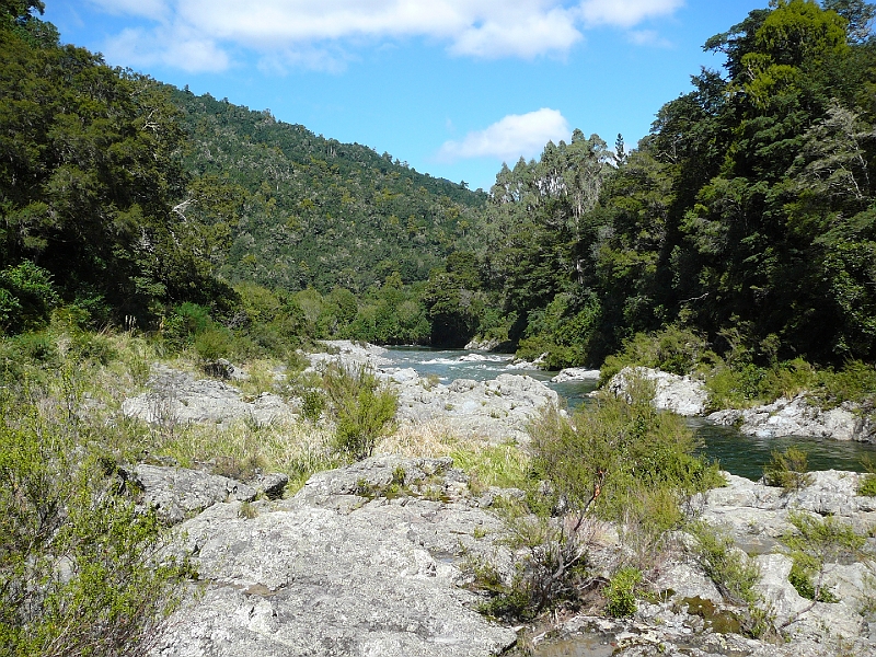 P1010884.JPG - Pelorus Bridge