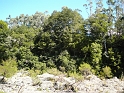 P1010883