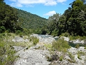 P1010884