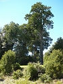 P1010885