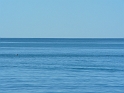 P1010895
