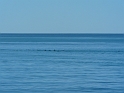 P1010897