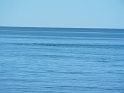 P1010900