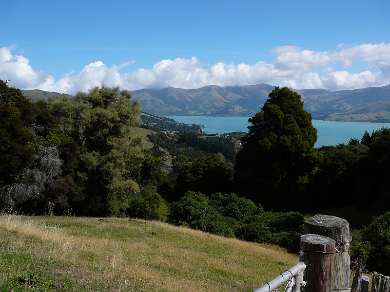 P1010929.JPG - Woodills track - looking back at Akaroa