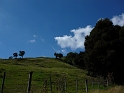 P1010925
