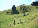 P1010932