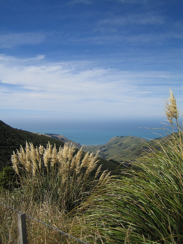 IMG_2021.JPG - Goughs Bay
