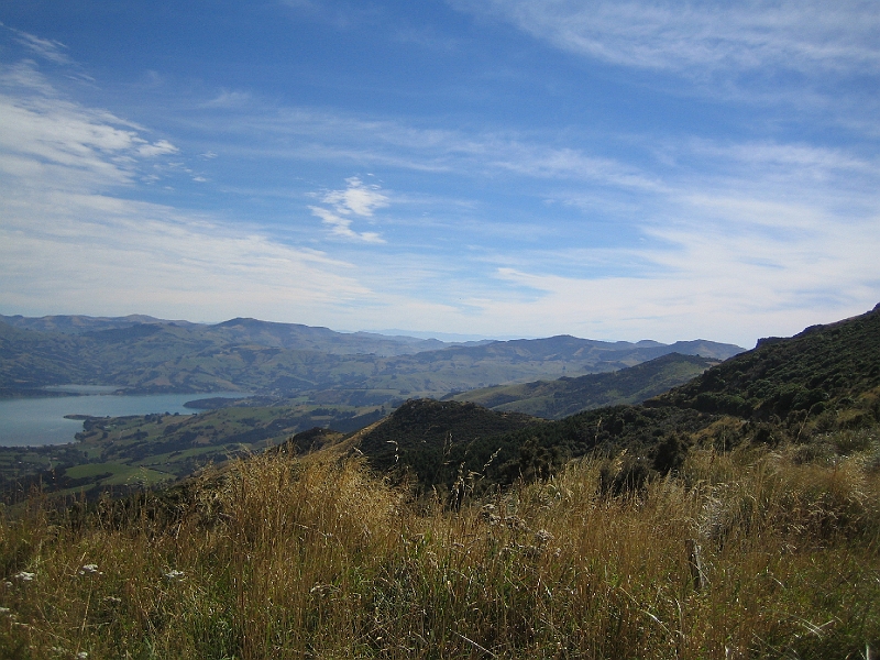 IMG_2025.JPG - Akaroa Harbour