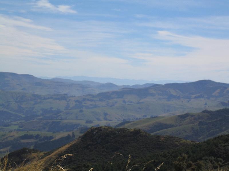 IMG_2026.JPG - Banks peninsula