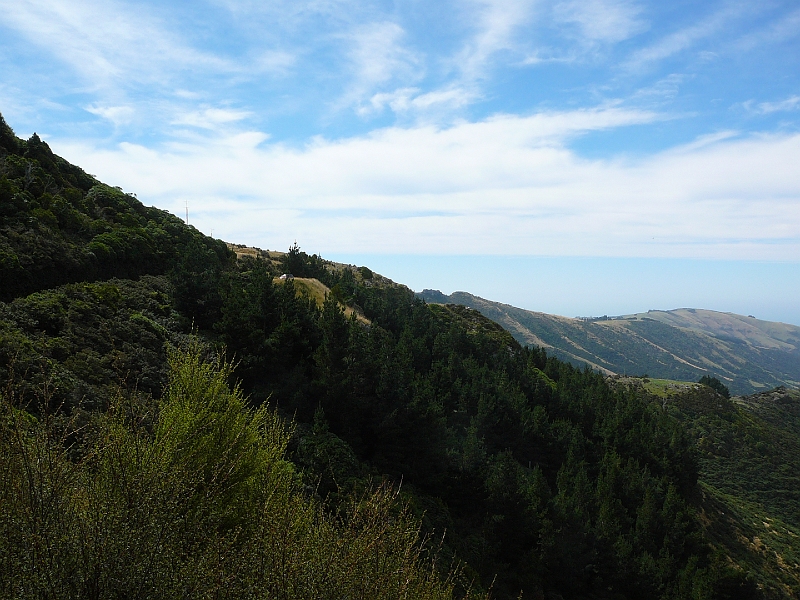 P1010944.JPG - Banks peninsula