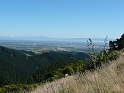 P1010959