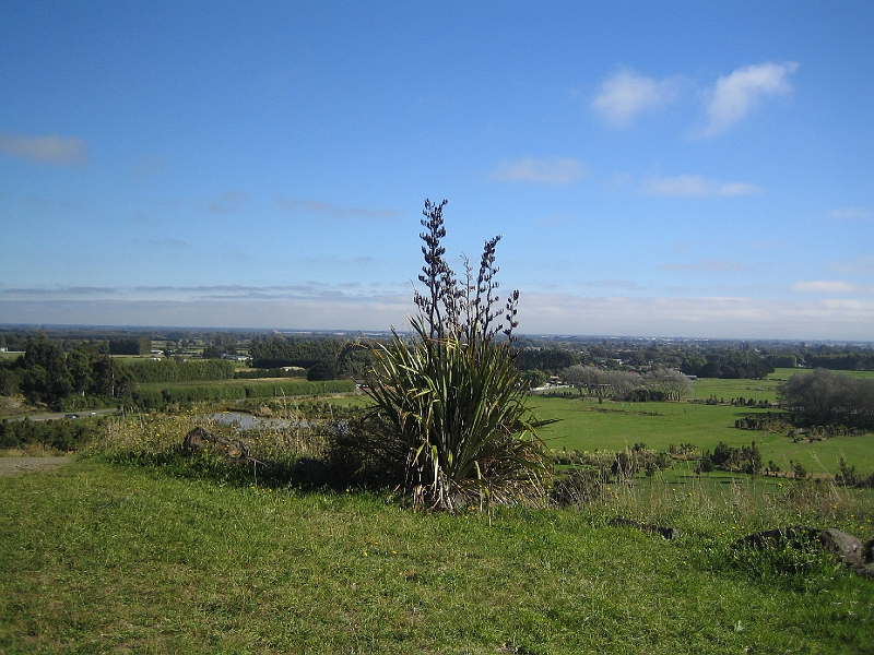 IMG_2048.JPG - Halswell Quarry Park