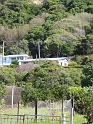 IMG_2055