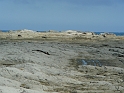 P1010998