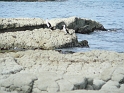 P1020008