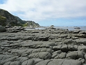 P1020009