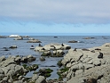 P1020014