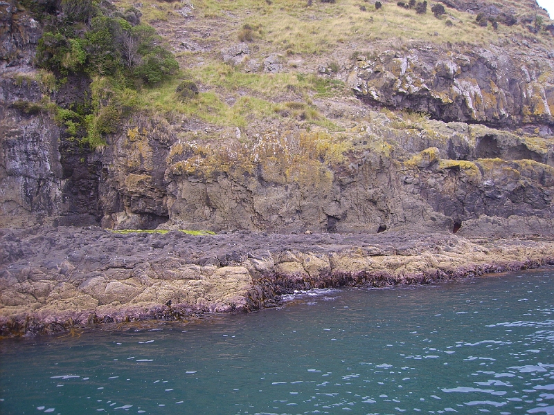 PICT2539.JPG - Akaroa Harbour