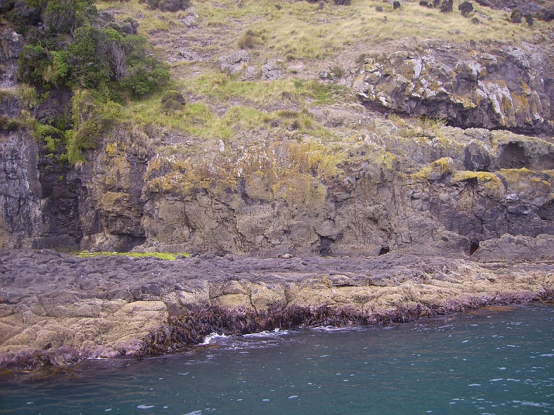 PICT2540.JPG - Akaroa Harbour