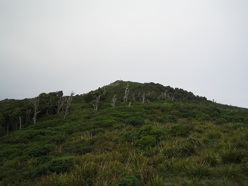 IMG_2085.JPG - Just off the Summit Road
