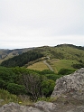 IMG_2086