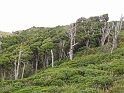 IMG_2088