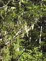 IMG_2148
