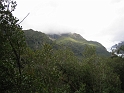 IMG_2167
