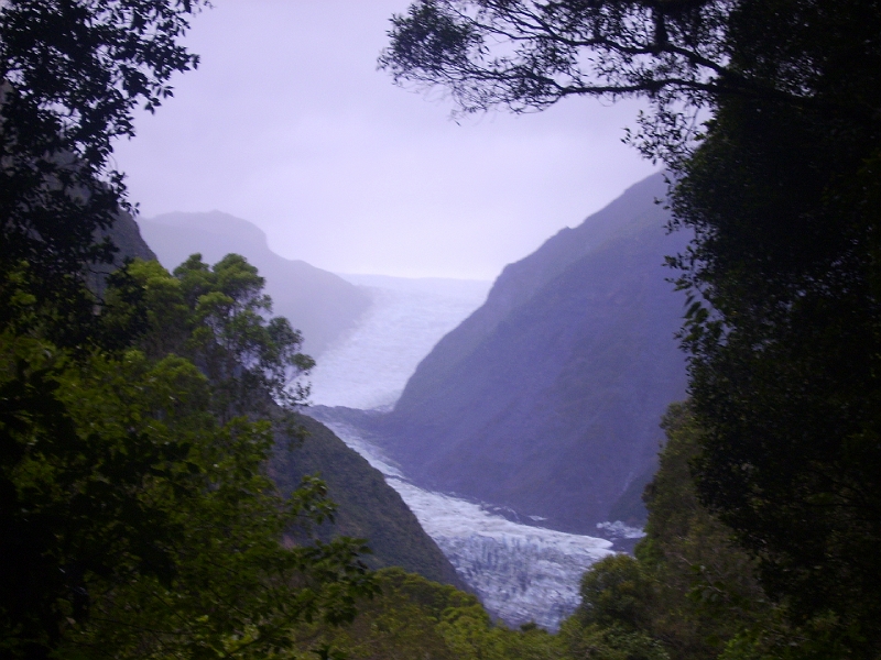 PICT2623.JPG - Near Fox Glacier