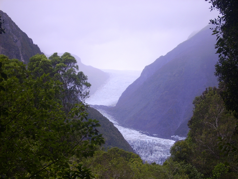 PICT2624.JPG - Near Fox Glacier