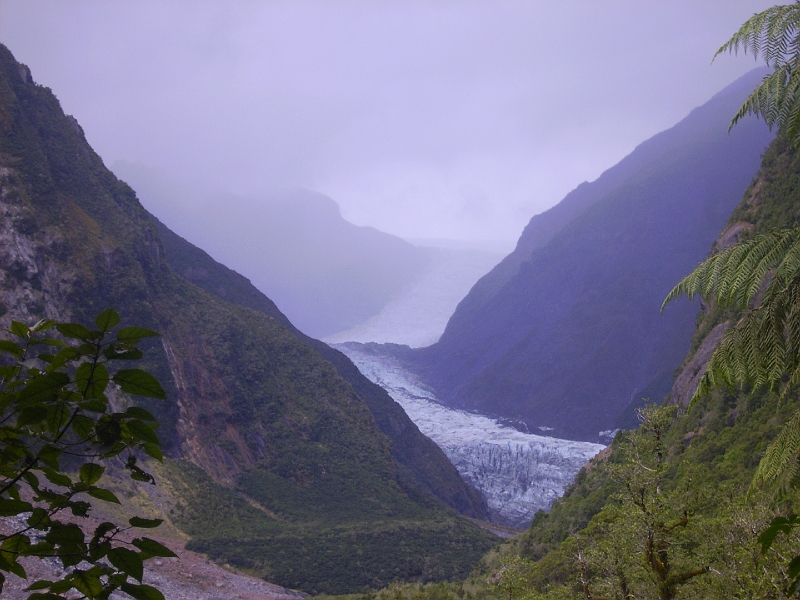 PICT2625.JPG - Near Fox Glacier