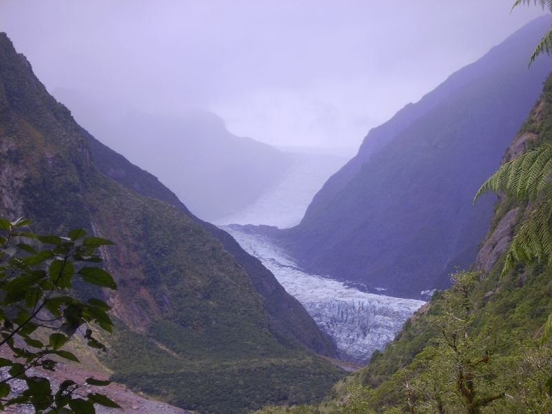 PICT2626.JPG - Near Fox Glacier