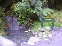 PICT2627