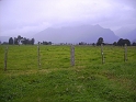 PICT2641