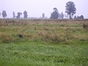 PICT2643