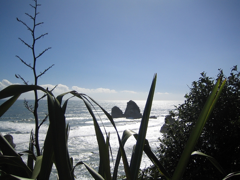 IMG_2261.JPG - Coast north of Greymouth