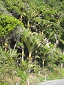 IMG_2295