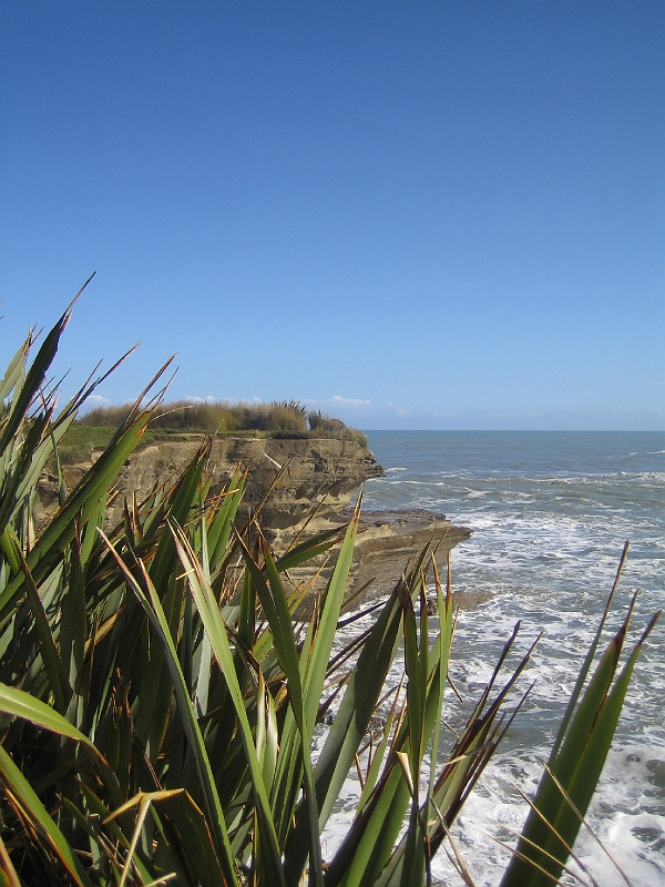 IMG_2309.JPG - Truman's Track, Punakaiki