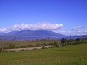 PICT2695