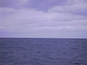 PICT2721