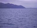 PICT2744