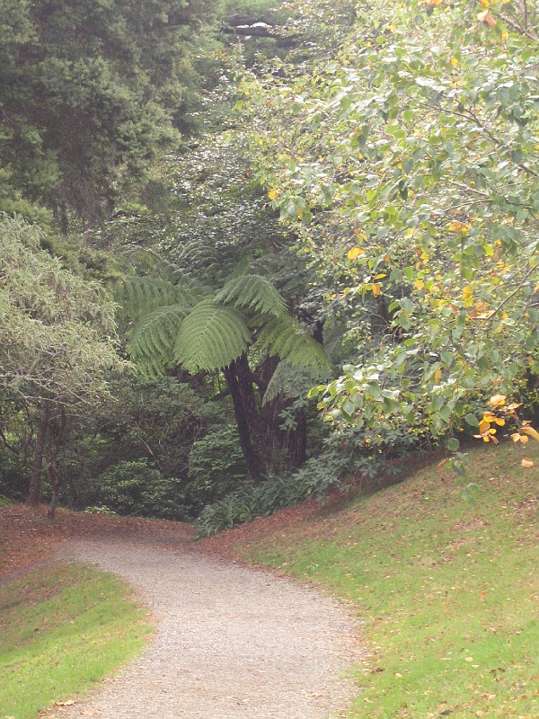 IMG_2344.JPG - Wellington Botanic Garden