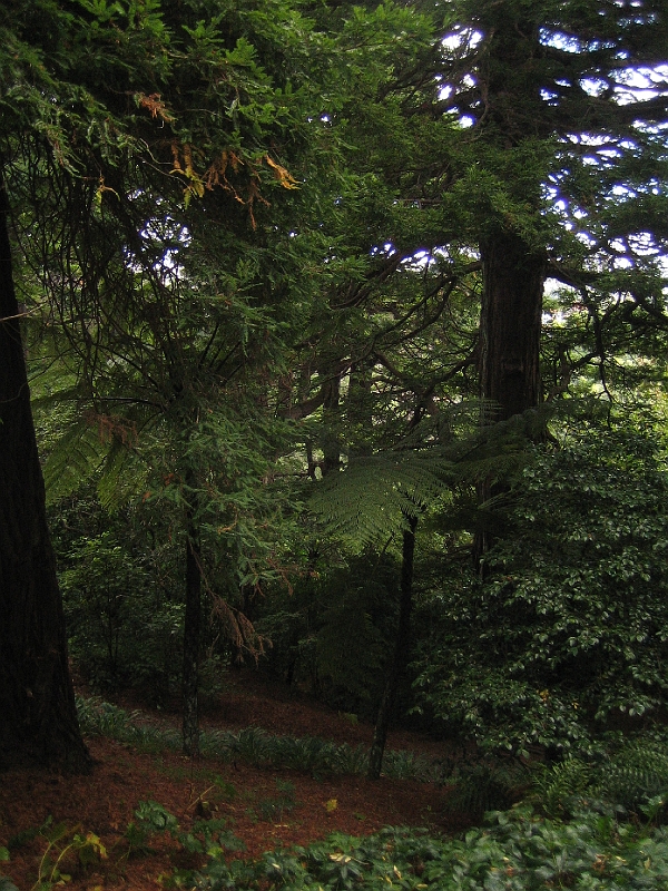 IMG_2346.JPG - Wellington Botanic Garden