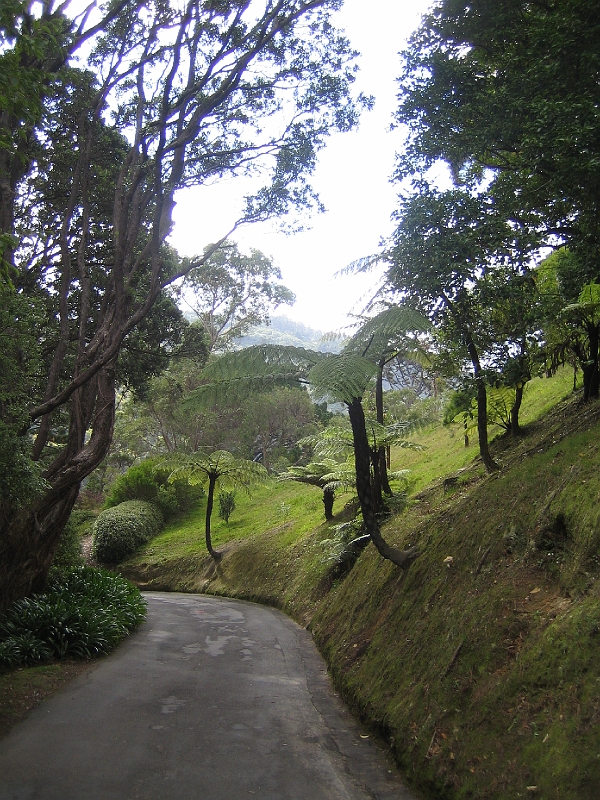 IMG_2347.JPG - Wellington Botanic Garden