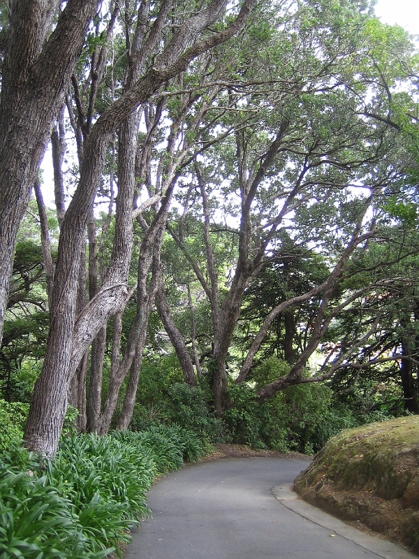 IMG_2348.JPG - Wellington Botanic Garden