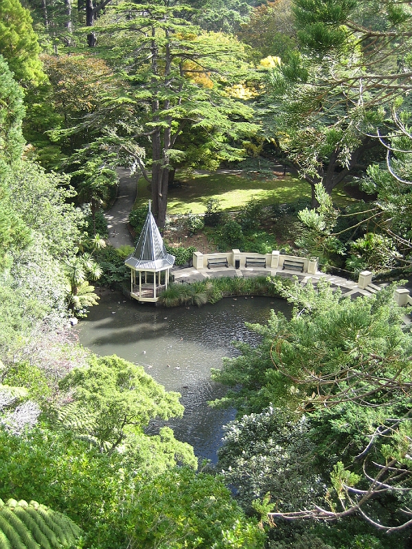 IMG_2358.JPG - Wellington Botanic Garden