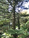 IMG_2352