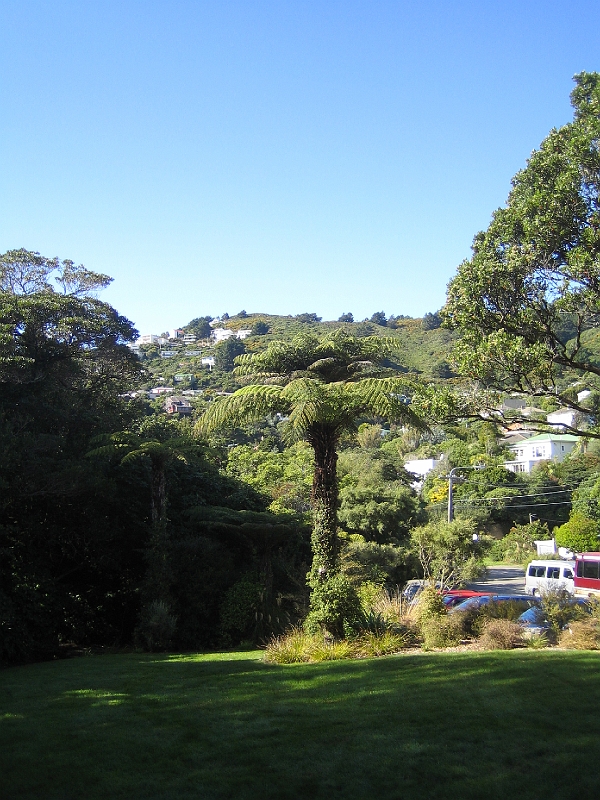 IMG_2367.JPG - Otari-Wilton's Bush