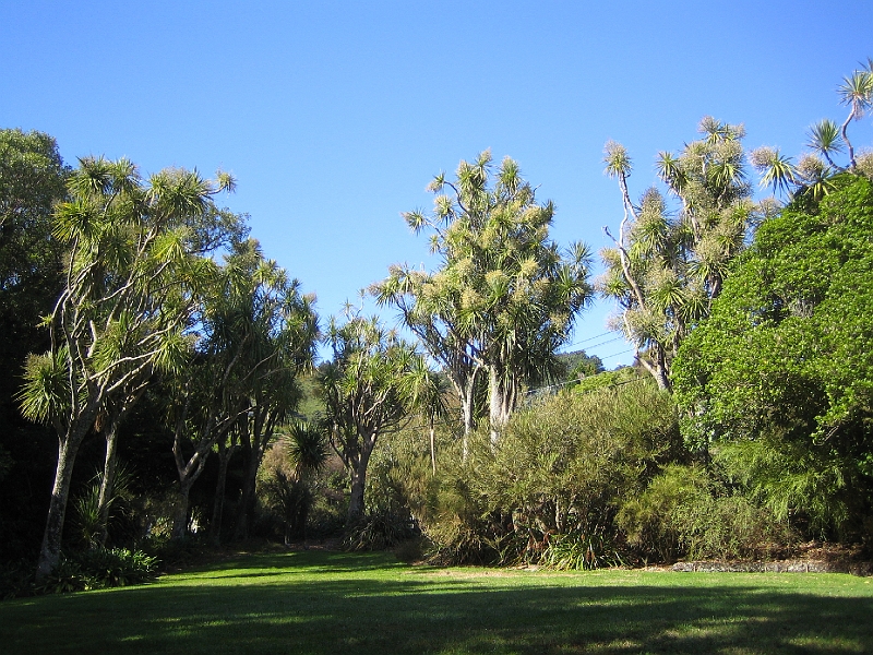 IMG_2368.JPG - Otari-Wilton's Bush